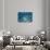 Blue Water 7900-Rica Belna-Stretched Canvas displayed on a wall