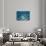 Blue Water 7900-Rica Belna-Giclee Print displayed on a wall