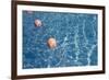 Blue Water 7904-Rica Belna-Framed Giclee Print