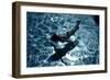 Blue Water 8433-Rica Belna-Framed Giclee Print