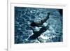 Blue Water 8433-Rica Belna-Framed Giclee Print