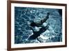 Blue Water 8433-Rica Belna-Framed Giclee Print