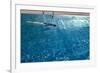 Blue Water 8656-Rica Belna-Framed Giclee Print