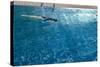 Blue Water 8656-Rica Belna-Stretched Canvas