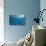 Blue Water 8656-Rica Belna-Giclee Print displayed on a wall