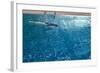 Blue Water 8656-Rica Belna-Framed Giclee Print