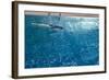 Blue Water 8656-Rica Belna-Framed Giclee Print