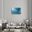 Blue Water 9157-Rica Belna-Stretched Canvas displayed on a wall
