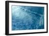 Blue Water 9157-Rica Belna-Framed Premium Giclee Print