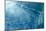 Blue Water 9157-Rica Belna-Mounted Premium Giclee Print