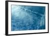 Blue Water 9157-Rica Belna-Framed Giclee Print