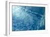Blue Water 9157-Rica Belna-Framed Giclee Print