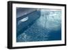 Blue Water 9193-Rica Belna-Framed Premium Giclee Print