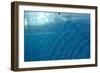 Blue Water 9225-Rica Belna-Framed Giclee Print