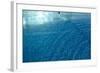 Blue Water 9225-Rica Belna-Framed Giclee Print