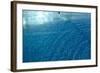 Blue Water 9225-Rica Belna-Framed Giclee Print