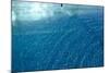 Blue Water 9225-Rica Belna-Mounted Giclee Print