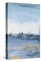 Blue Water Adventure III-Patricia Pinto-Stretched Canvas