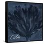 Blue Water Coral Calm-Jace Grey-Framed Stretched Canvas