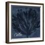 Blue Water Coral Calm-Jace Grey-Framed Art Print