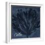 Blue Water Coral Calm-Jace Grey-Framed Art Print