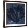 Blue Water Coral Calm-Jace Grey-Framed Art Print