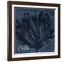 Blue Water Coral Calm-Jace Grey-Framed Art Print