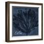 Blue Water Coral Calm-Jace Grey-Framed Art Print