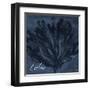 Blue Water Coral Calm-Jace Grey-Framed Art Print