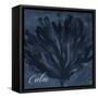 Blue Water Coral Calm-Jace Grey-Framed Stretched Canvas
