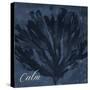 Blue Water Coral Calm-Jace Grey-Stretched Canvas