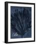 Blue Water Coral Calm-Jace Grey-Framed Art Print