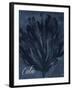 Blue Water Coral Calm-Jace Grey-Framed Art Print