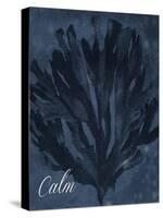 Blue Water Coral Calm-Jace Grey-Stretched Canvas