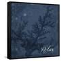 Blue Water Coral Relax-Jace Grey-Framed Stretched Canvas