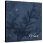 Blue Water Coral Relax-Jace Grey-Stretched Canvas