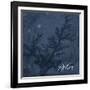 Blue Water Coral Relax-Jace Grey-Framed Art Print