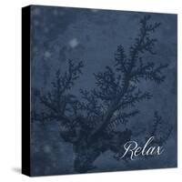 Blue Water Coral Relax-Jace Grey-Stretched Canvas