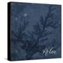 Blue Water Coral Relax-Jace Grey-Stretched Canvas