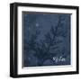 Blue Water Coral Relax-Jace Grey-Framed Art Print