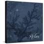 Blue Water Coral Relax-Jace Grey-Stretched Canvas