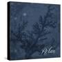 Blue Water Coral Relax-Jace Grey-Stretched Canvas
