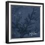 Blue Water Coral Relax-Jace Grey-Framed Art Print