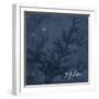 Blue Water Coral Relax-Jace Grey-Framed Art Print