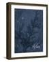 Blue Water Coral Relax-Jace Grey-Framed Art Print