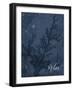 Blue Water Coral Relax-Jace Grey-Framed Art Print