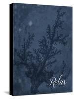 Blue Water Coral Relax-Jace Grey-Stretched Canvas