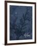 Blue Water Coral Relax-Jace Grey-Framed Art Print