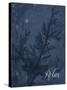 Blue Water Coral Relax-Jace Grey-Stretched Canvas