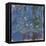 Blue Water Lilies-Claude Monet-Framed Stretched Canvas